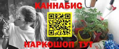 крисы Будённовск