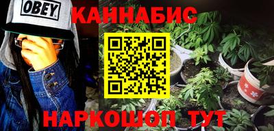 крисы Будённовск
