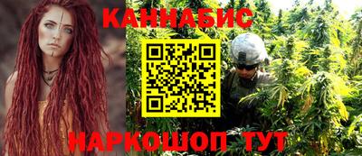 крисы Будённовск