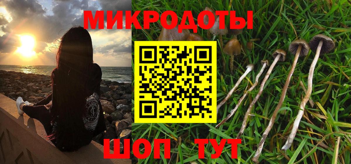 Псилоцибиновые грибы MAGIC MUSHROOMS  Вход с VPN  Баксан 